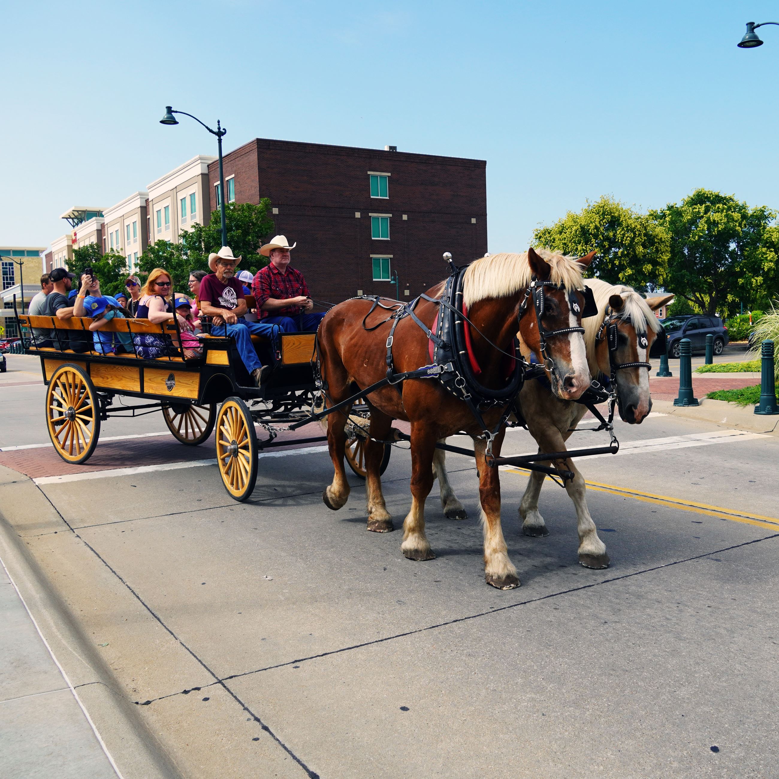horse drawn carriage ride